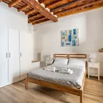 Palazzuolo By San Collection